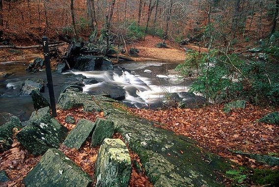 Prince William Forest Park