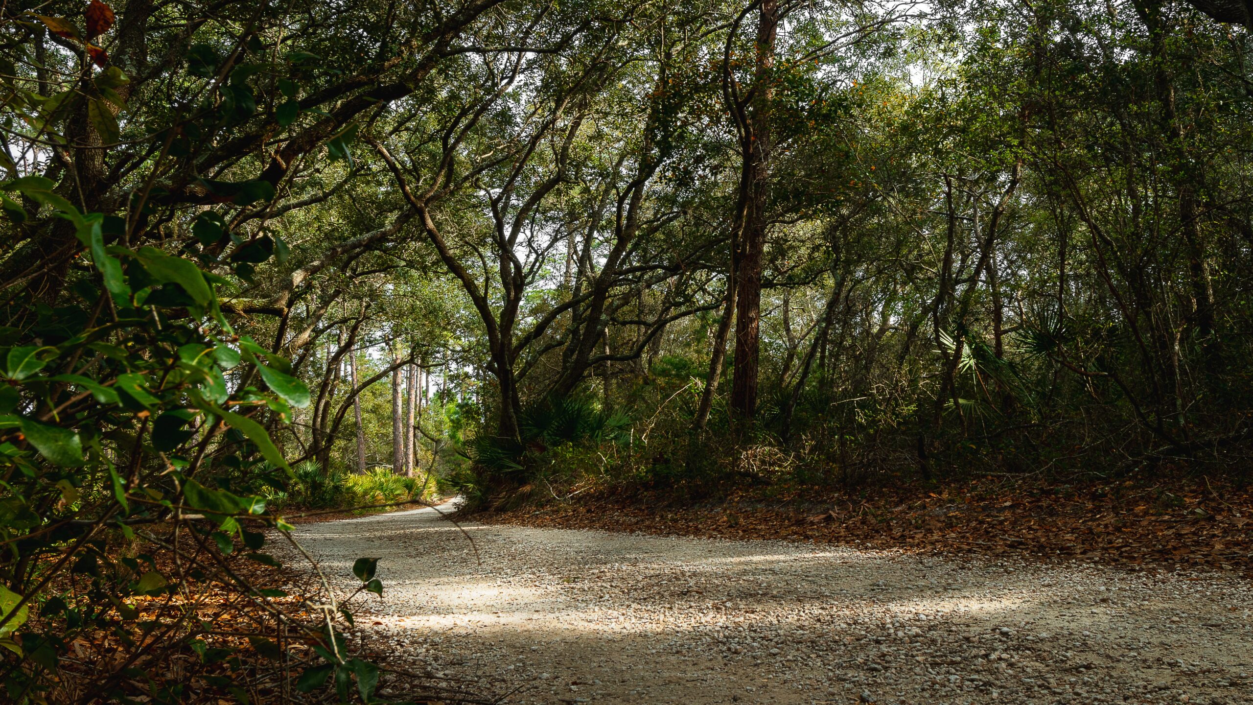 National Forests in Alabama