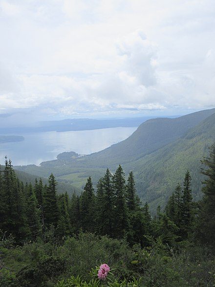 Olympic National Forest