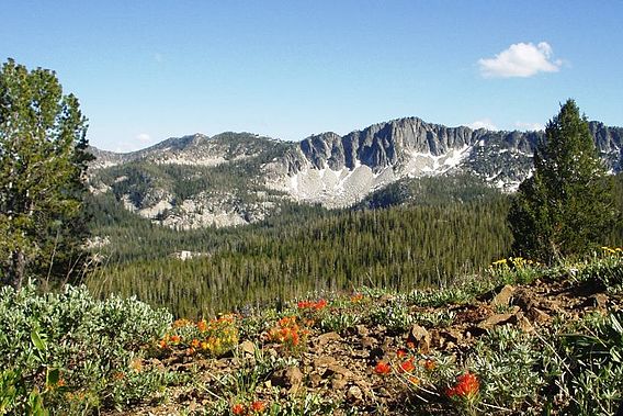 Boise National Forest