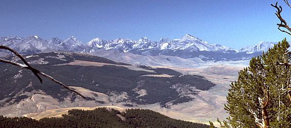 Salmon-Challis National Forest