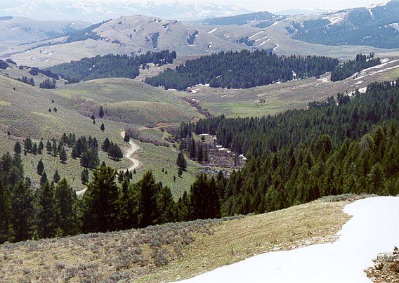 Beaverhead-Deerlodge National Forest
