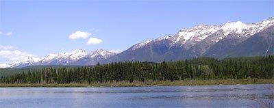 Lolo National Forest