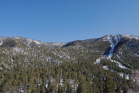 Humboldt-Toiyabe National Forest Headquarters