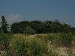 Gateway National Recreation Area