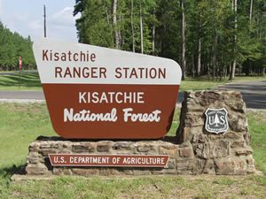 Kisatchie National Forest
