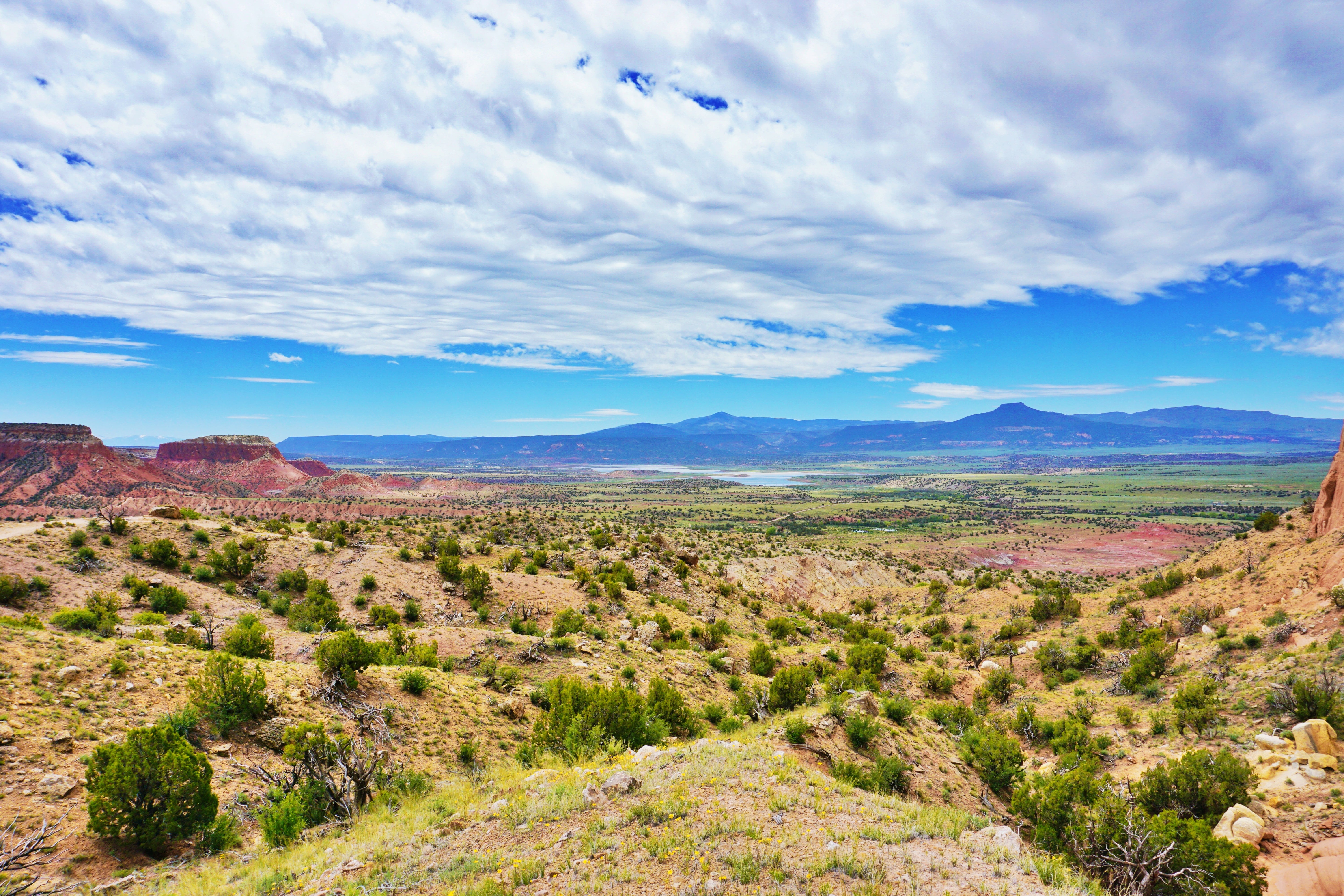 new-mexico
