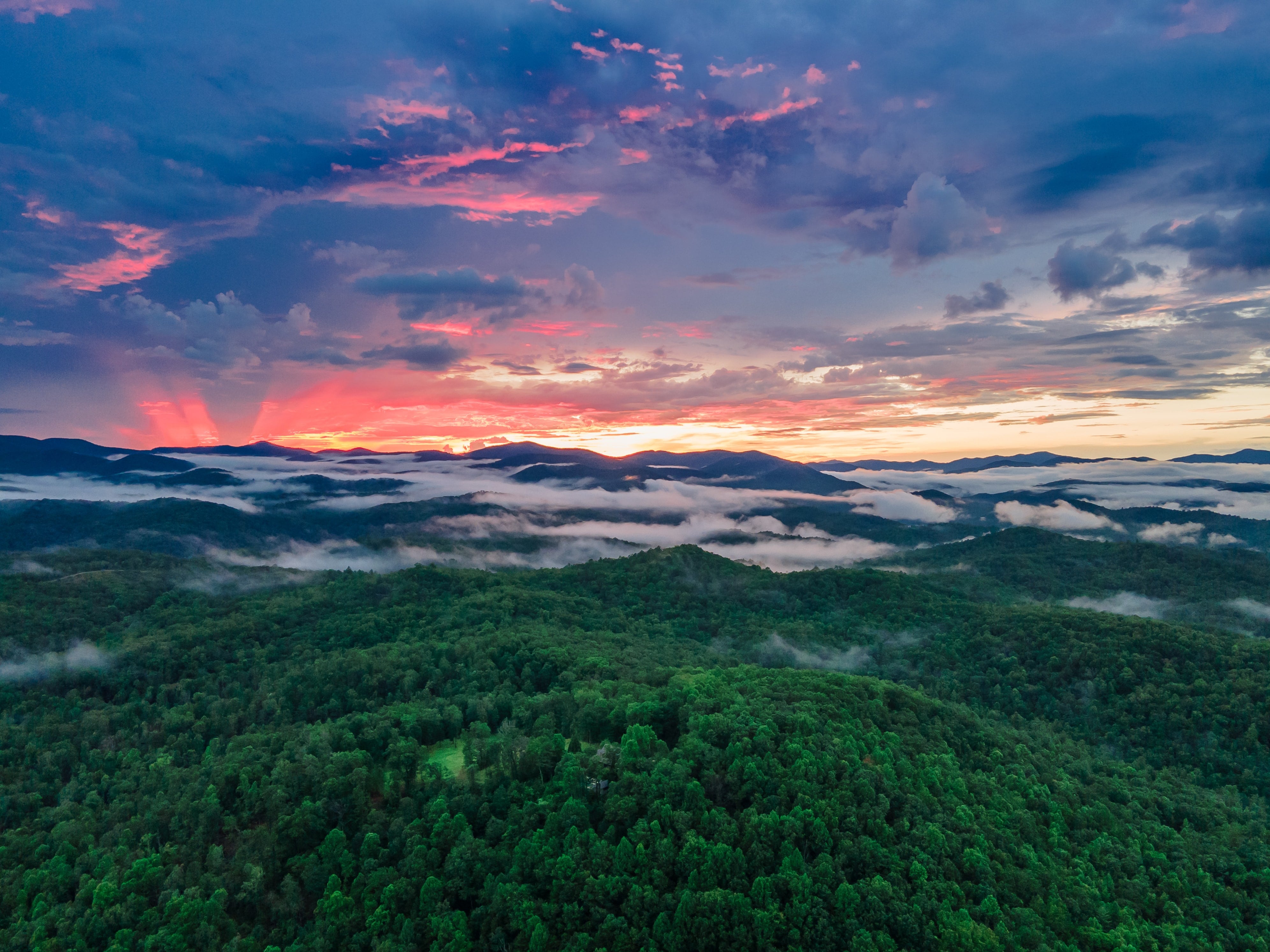 georgia