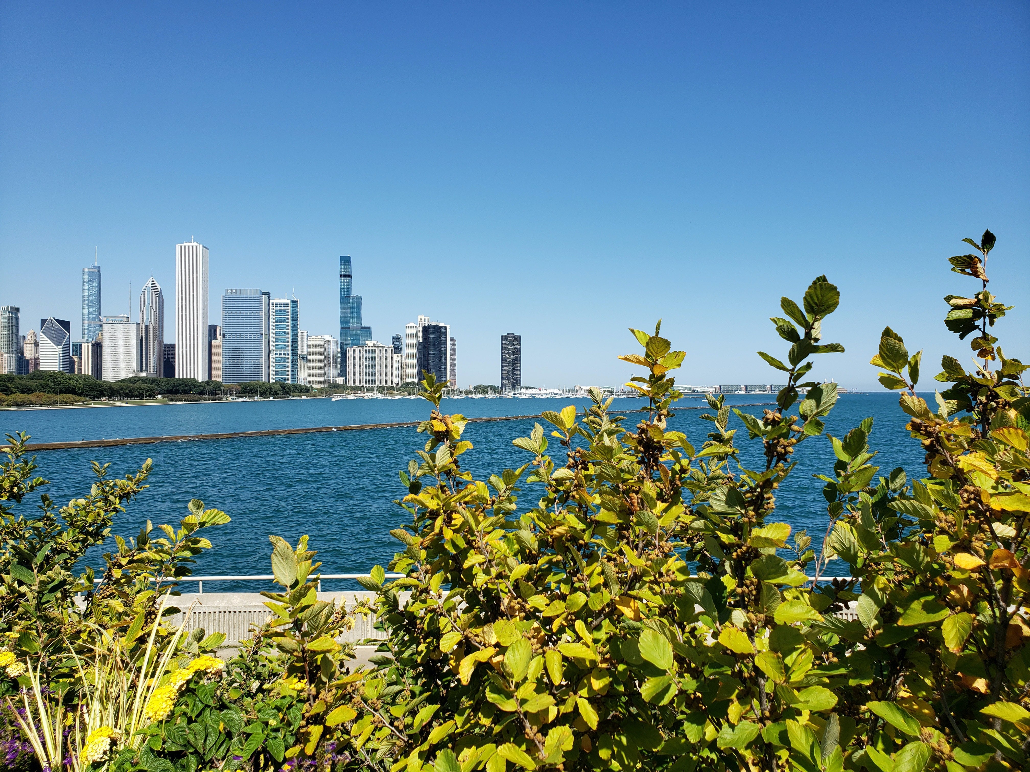 illinois