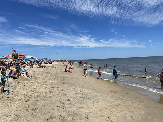 Cape Henlopen State Park